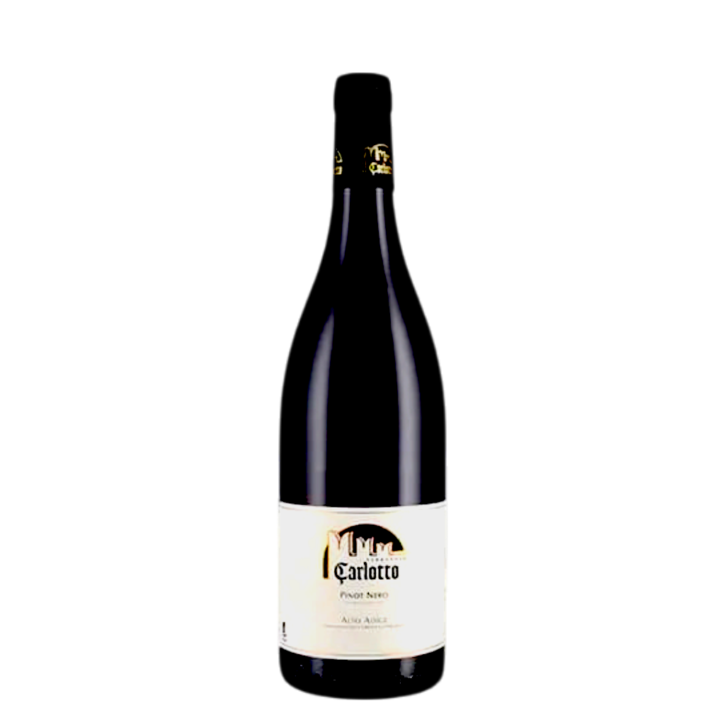 Ferruccio Carlotto Pinot Nero - Filari di Mazzon 2023