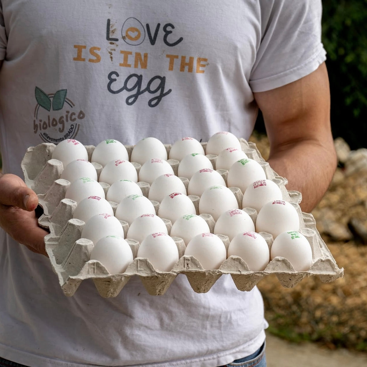 Le Selvagge 30 uova bianche BIO plateau