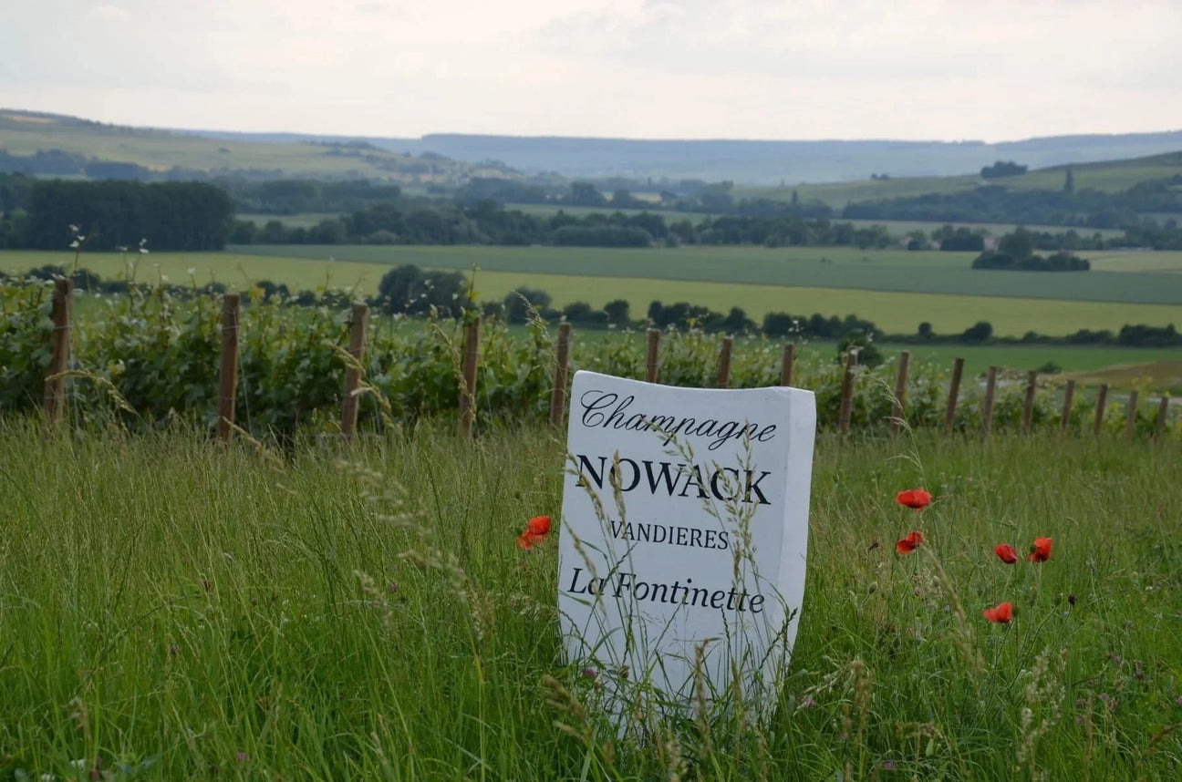 Nowack