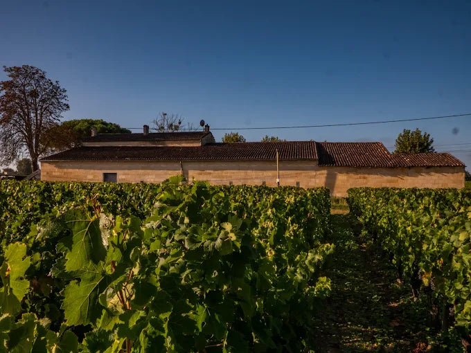 Chateau Feytit-Clinet