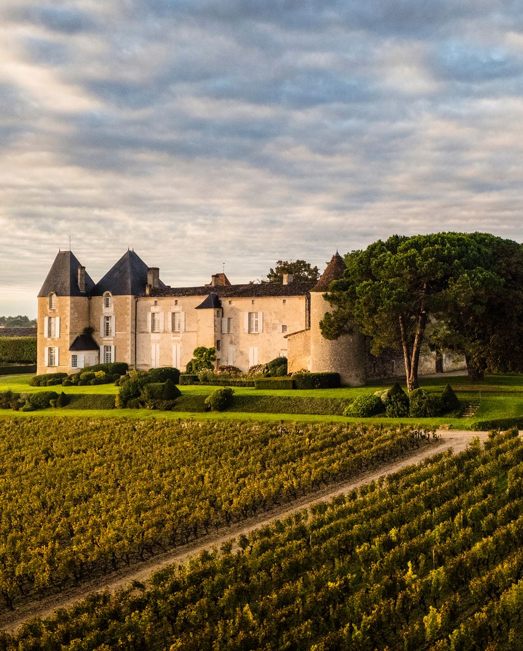 Chateau d'Yquem