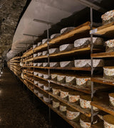 Genussbunker BergGenuss 3,8/5 Kg