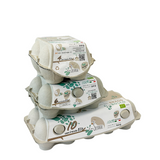 Le Selvagge uova bianche BIO in box di polpa di legno biodegradabile