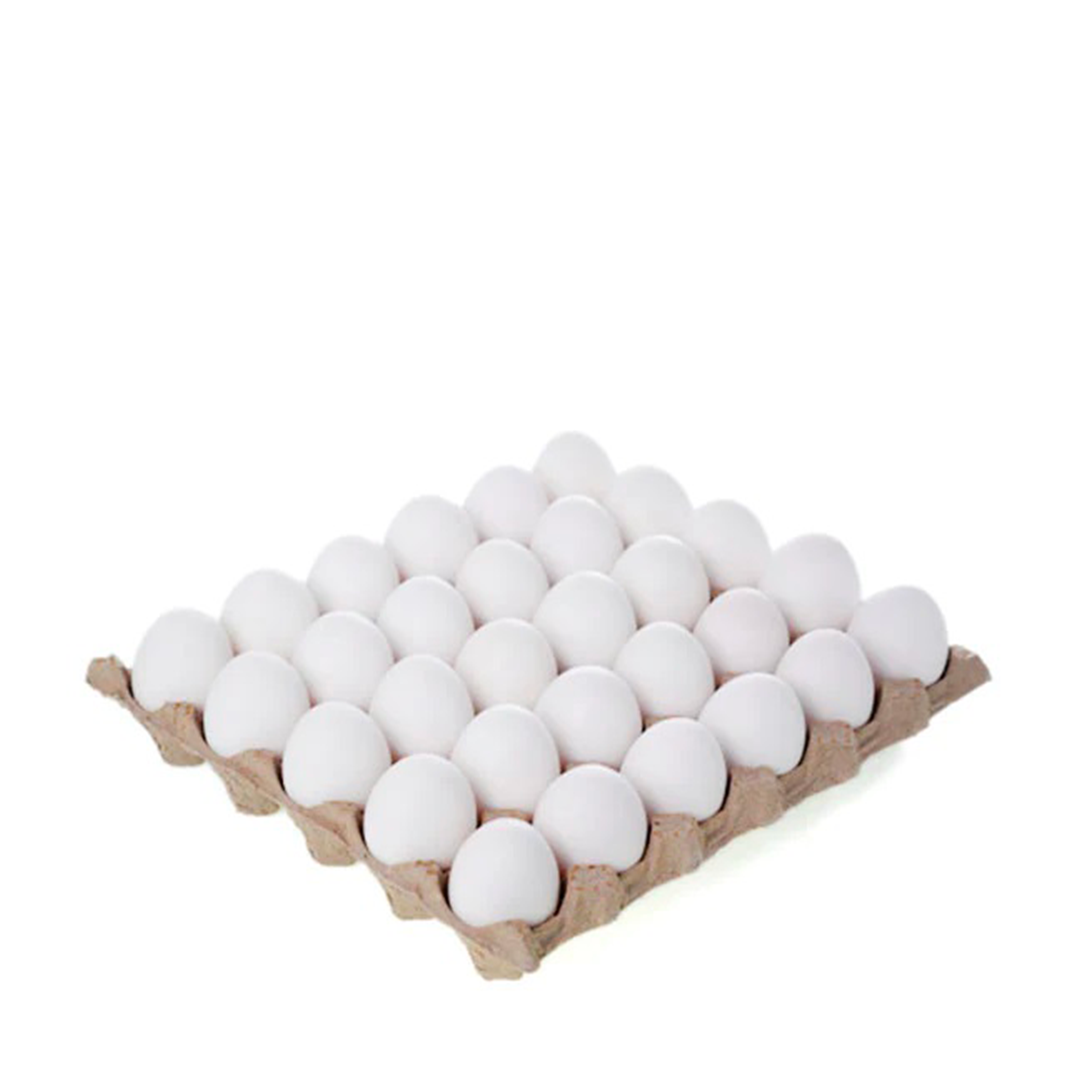 Le Selvagge 30 uova bianche BIO plateau