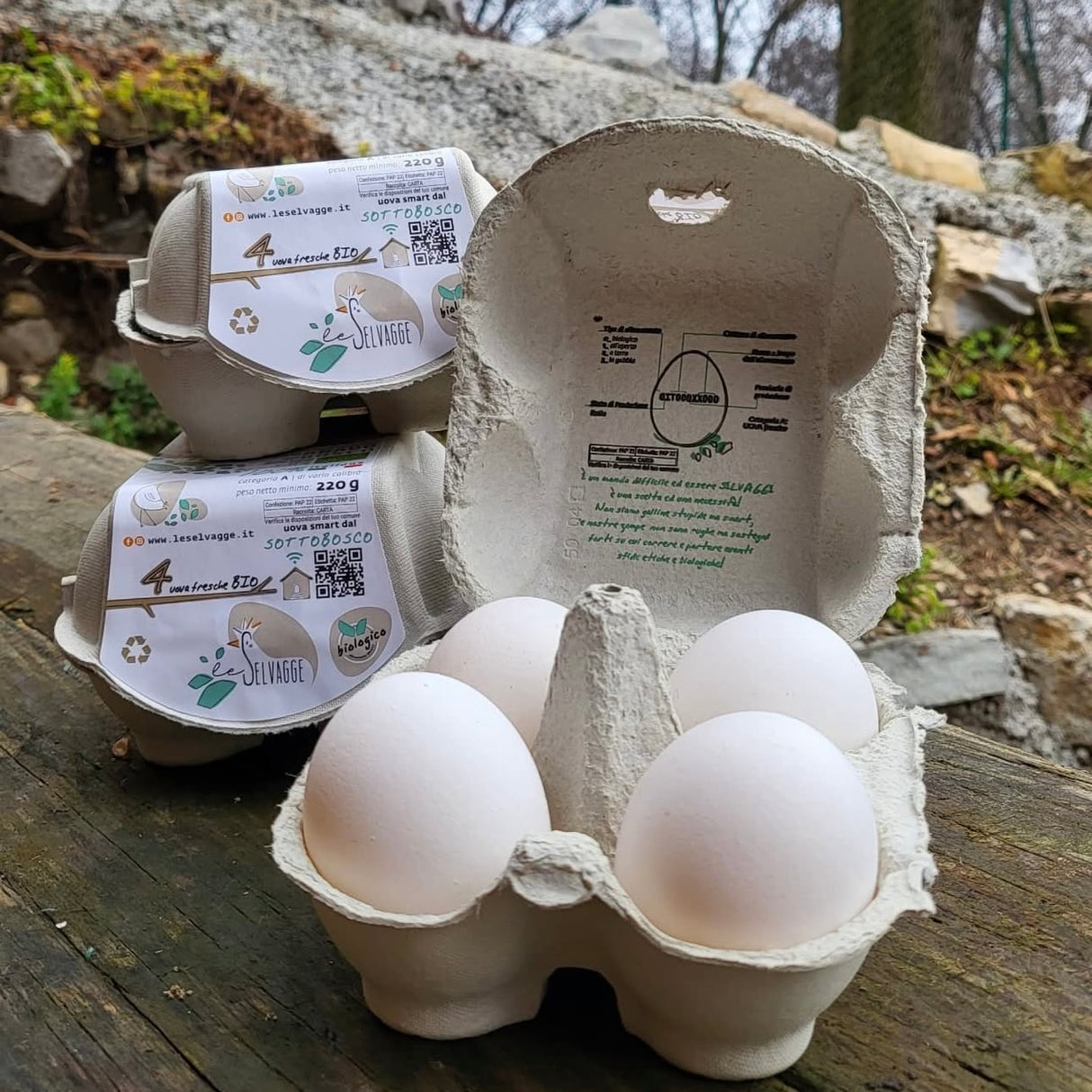 Le Selvagge uova bianche BIO in box di polpa di legno biodegradabile