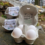 Le Selvagge uova bianche BIO in box di polpa di legno biodegradabile