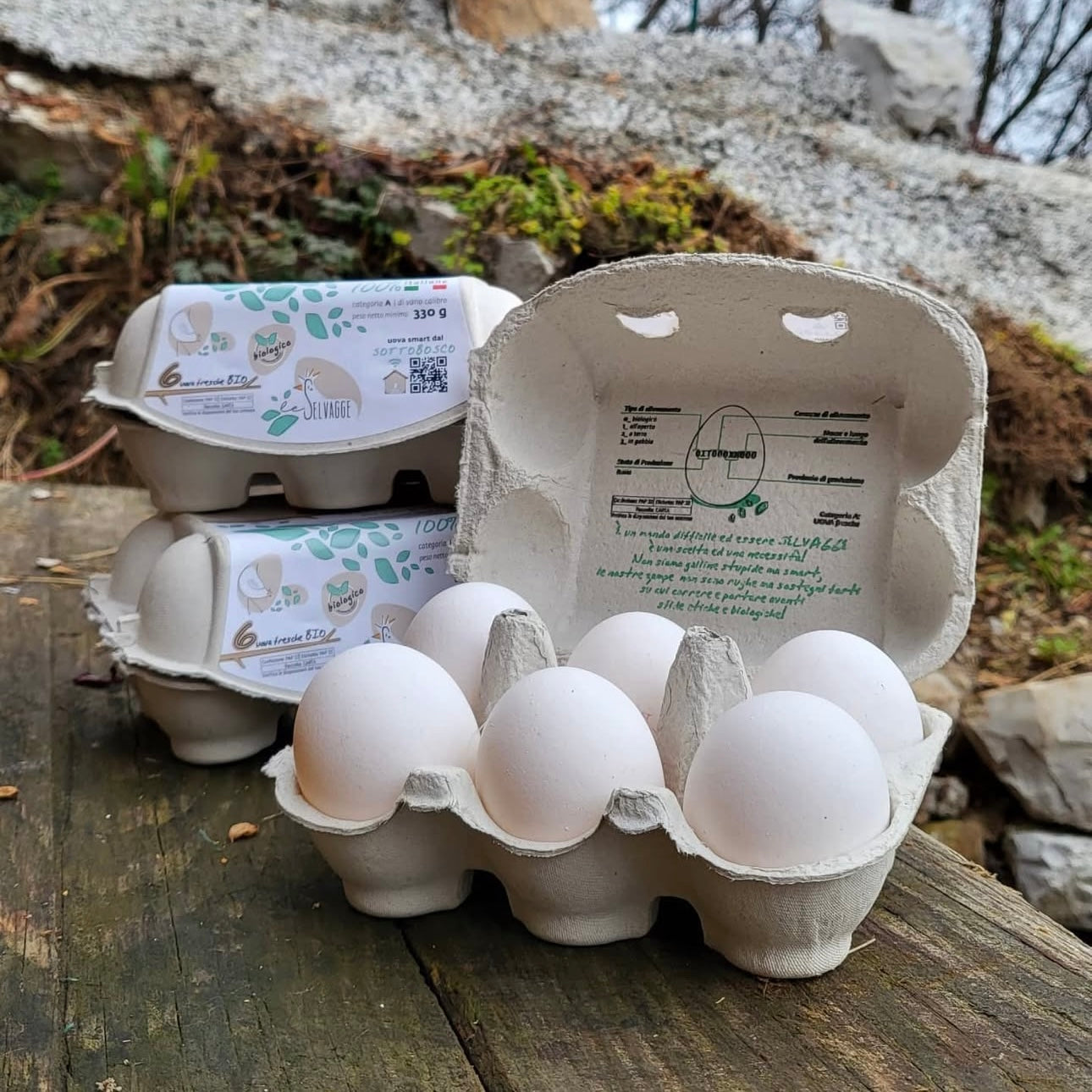 Le Selvagge uova bianche BIO in box di polpa di legno biodegradabile
